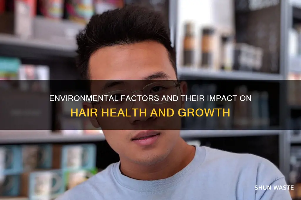 how can the environment affect your hair