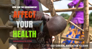 Environmental Factors: Uncovering How Nature Impacts Your Health and Well-being