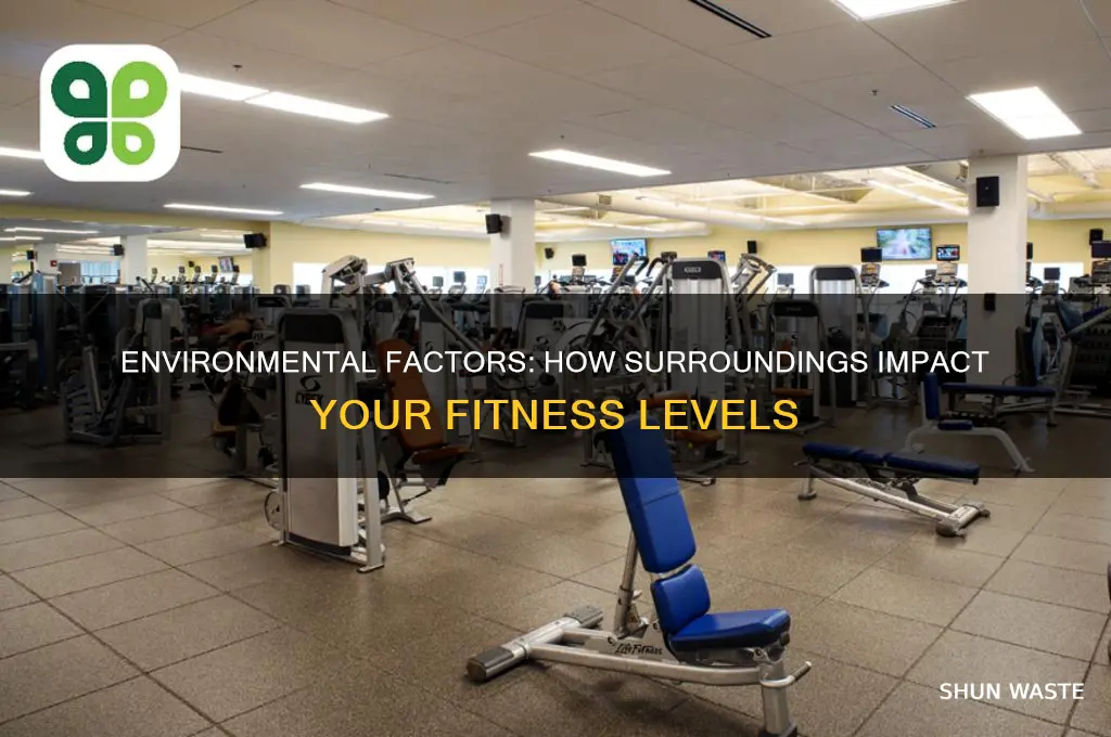 how can the environment affect your levels of fitness