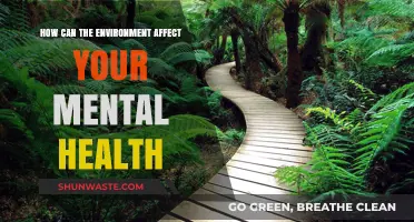 Nature's Impact: How Your Environment Shapes Mental Well-Being