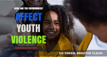 Environmental Triggers: Understanding How Surroundings Influence Youth Violence
