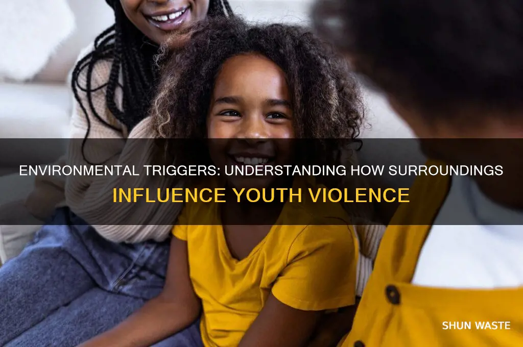 how can the environment affect youth violence