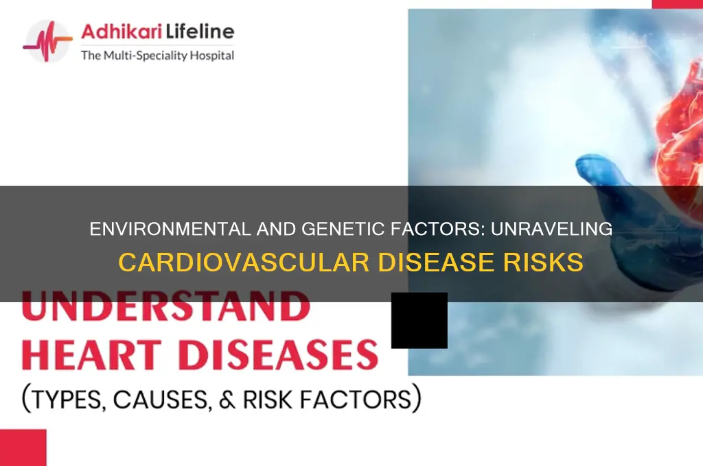 how can the environment and genetics contribute to cardiovascular disease