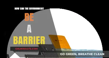 Environmental Barriers: Challenges and Solutions for Sustainable Progress