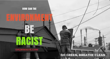 Environmental Racism: How Systems and Spaces Perpetuate Inequality