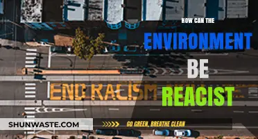 Environmental Racism: How Systems and Spaces Perpetuate Inequality