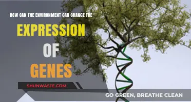 Environmental Influences: Unlocking Gene Expression Changes and Their Impact