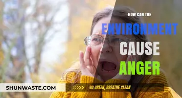 Environmental Triggers: How Surroundings Fuel Frustration and Anger