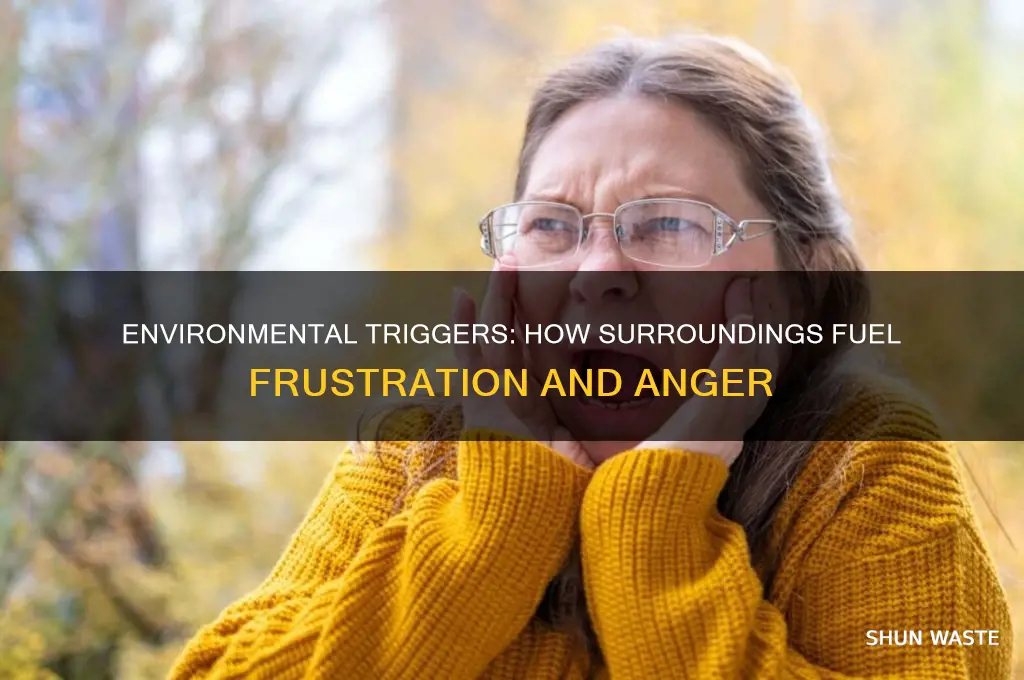 how can the environment cause anger