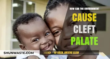 Environmental Factors and Cleft Palate: Uncovering Surprising Connections