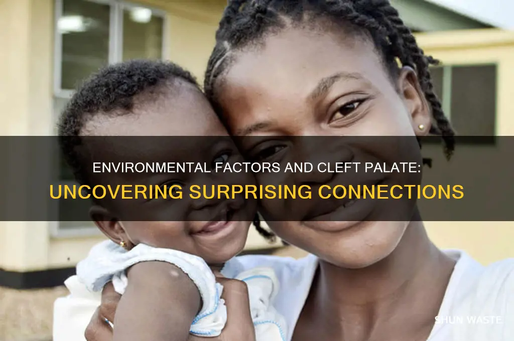 how can the environment cause cleft palate