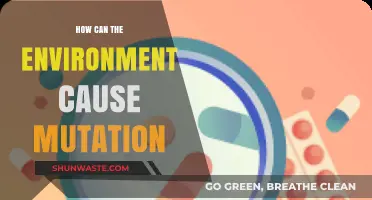 Environmental Triggers: Unraveling Nature's Role in Genetic Mutations