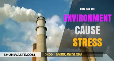 Environmental Stressors: How Surroundings Impact Mental Health and Well-being