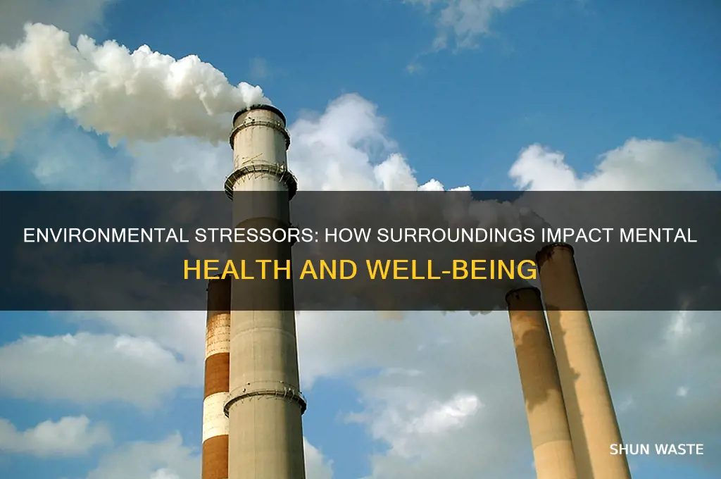 how can the environment cause stress