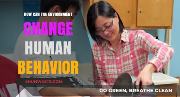 Environmental Shifts: How Nature's Influence Reshapes Human Behavior and Choices