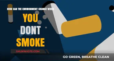 Breathing Cleaner Air: How Quitting Smoking Transforms Your Environment