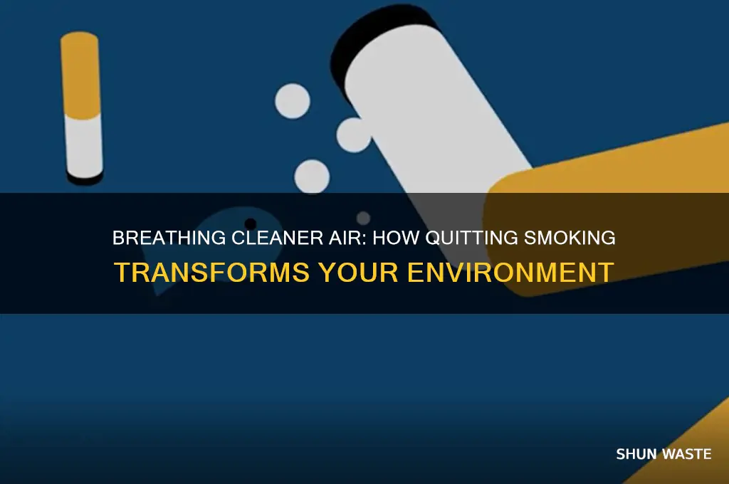 how can the environment change when you dont smoke