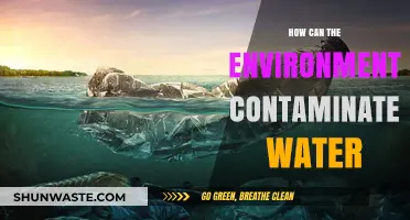 Environmental Threats to Water Purity: Sources and Contamination Risks