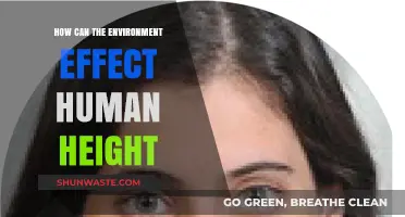 Environmental Factors Shaping Human Height: Surprising Influences Revealed