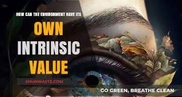 Nature's Worth: Exploring the Environment's Intrinsic Value and Significance