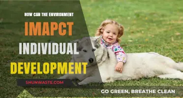 Environmental Influences: Shaping Personal Growth and Individual Development