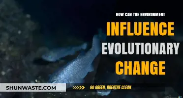 Environmental Forces Shaping Evolution: Unraveling Nature's Impact on Species Transformation
