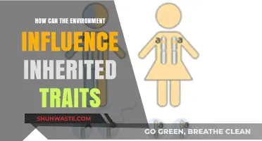 Environmental Impact on Inherited Traits: Unraveling Nature's Complex Interplay
