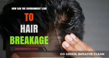 Environmental Factors Causing Hair Breakage: Prevention and Solutions