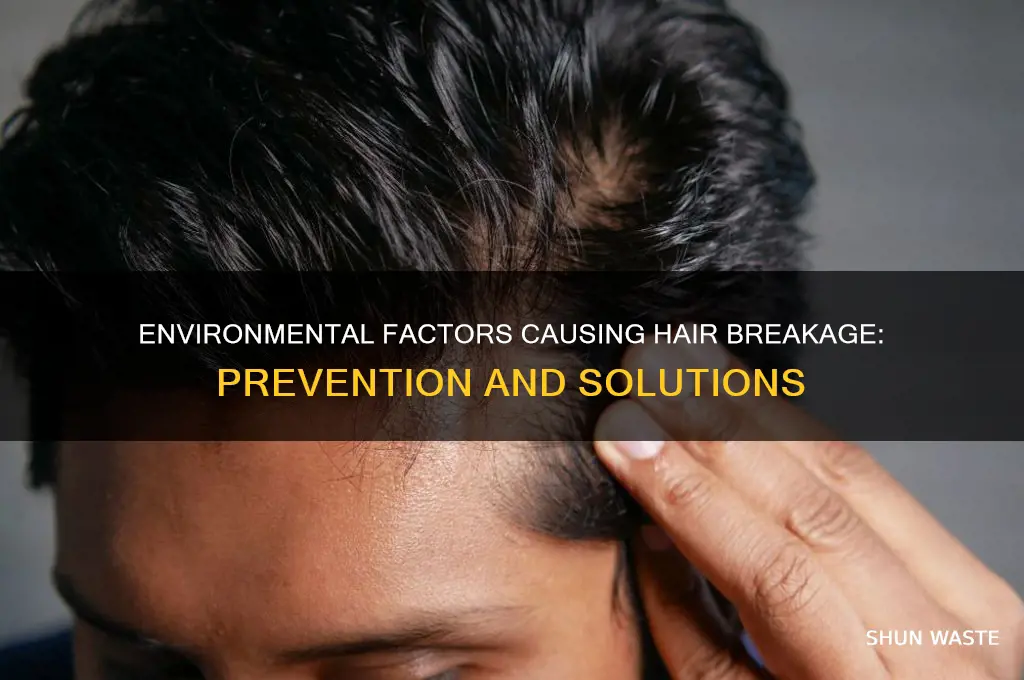 how can the environment lead to hair breakage