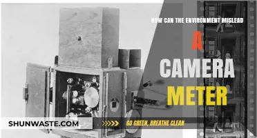 Environmental Tricks: How Natural Light Fools Your Camera Meter