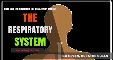 Environmental Hazards: How Air Pollution Harms Your Respiratory Health