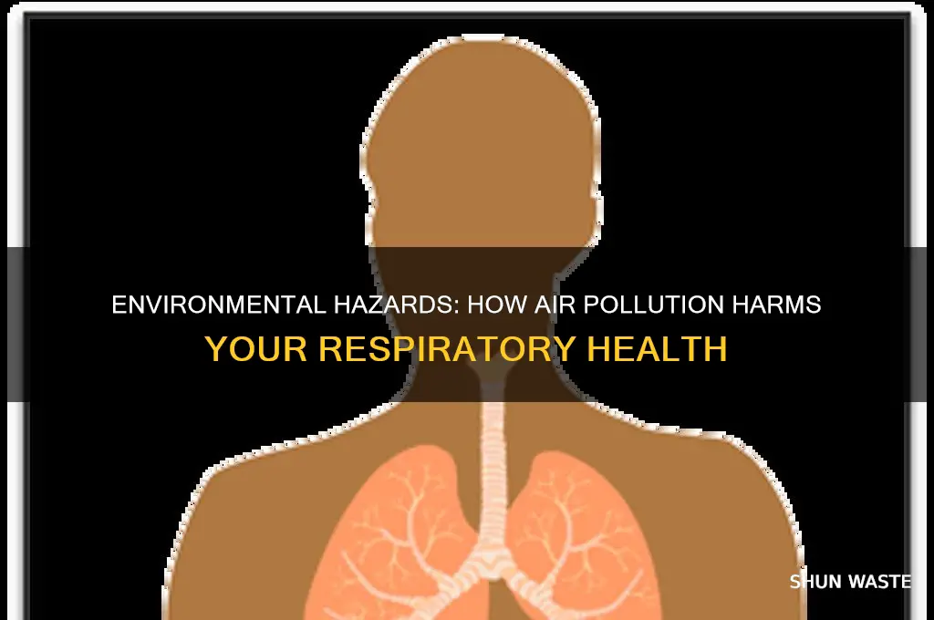 how can the environment negatively impact the respiratory system