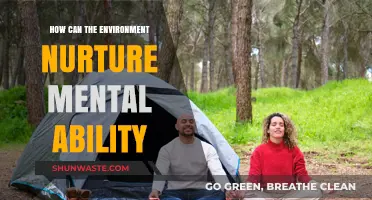 Nature's Impact: How Environments Shape and Enhance Mental Abilities