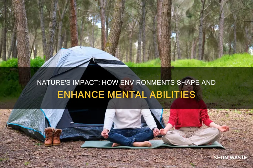 how can the environment nurture mental ability