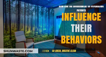 Psychiatric Patient Environments: Shaping Behaviors and Mental Health Outcomes