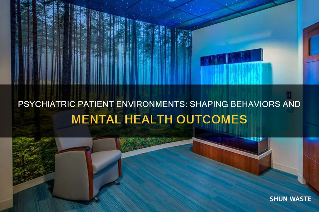 how can the environment of psychiatric patients influence their behaviors