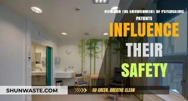 Psychiatric Patient Safety: The Impact of Environmental Factors