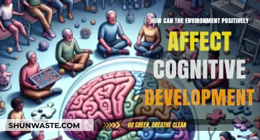 Nature's Impact: Boosting Cognitive Growth Through Environmental Connections