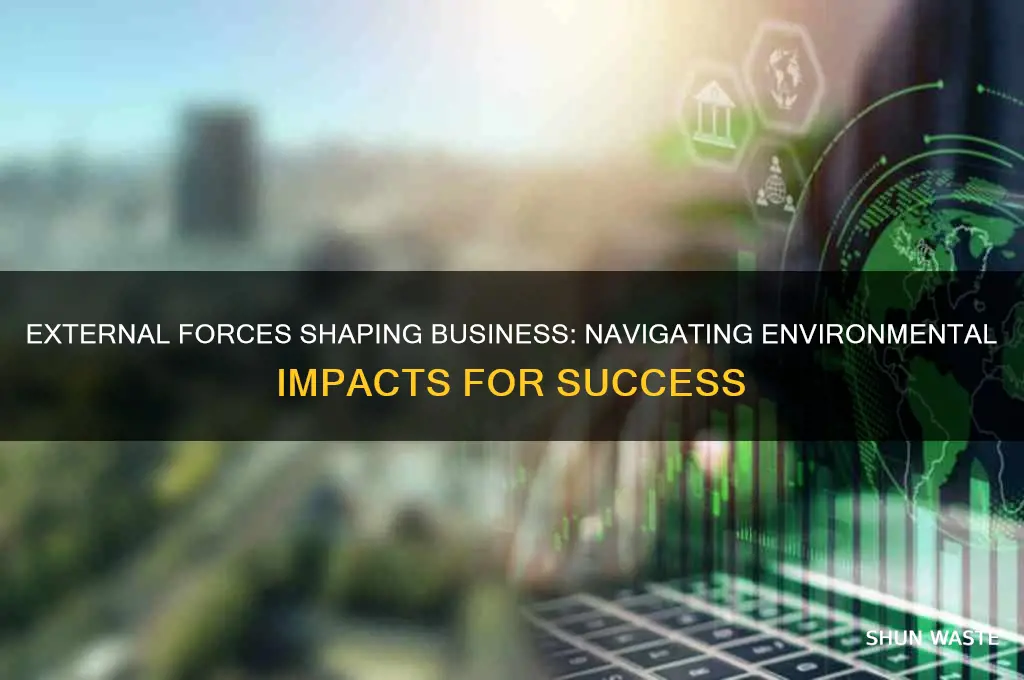 how can the external environment affect a business