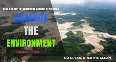 Extracting Nature's Wealth: Environmental Consequences of Resource Exploitation
