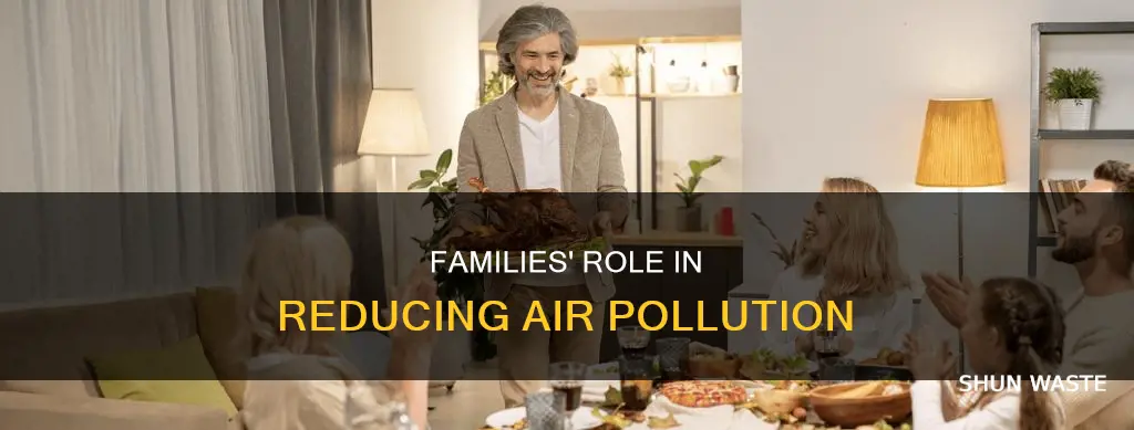 how can the families help reduce air pollution