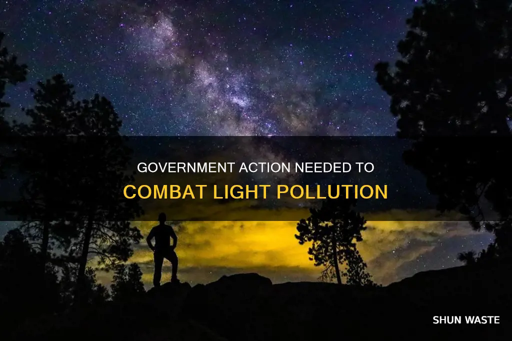 how can the government help light pollution