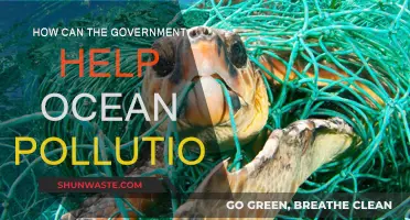 Government Initiatives to Combat Ocean Pollution