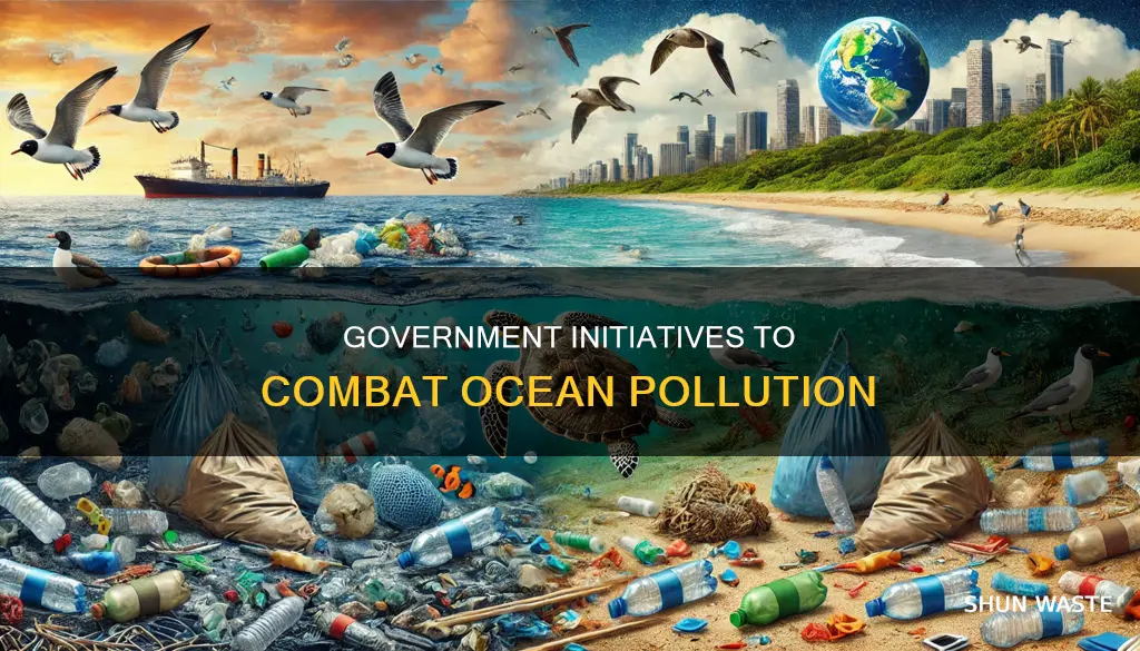 how can the government help ocean pollution