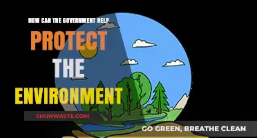 Government's Role in Safeguarding Our Planet: Environmental Protection Strategies