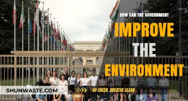 Sustainable Policies: How Governments Can Drive Environmental Improvement Effectively