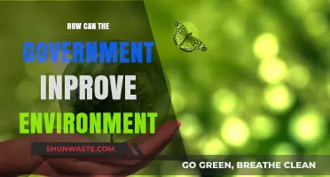Sustainable Policies: How Governments Can Drive Environmental Improvement