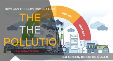 Government Strategies to Reduce Pollution