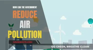 Government Strategies for Reducing Air Pollution