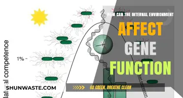 Internal Environment's Impact on Gene Expression and Function Explained